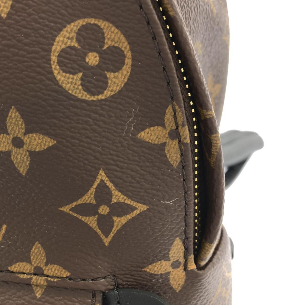 Louis Vuitton Monogram Palm Springs Backpack PM — view 8