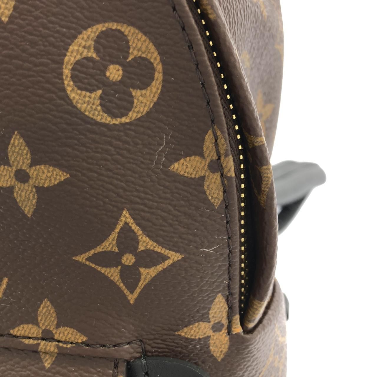 Louis Vuitton Monogram Palm Springs Backpack PM — view 8