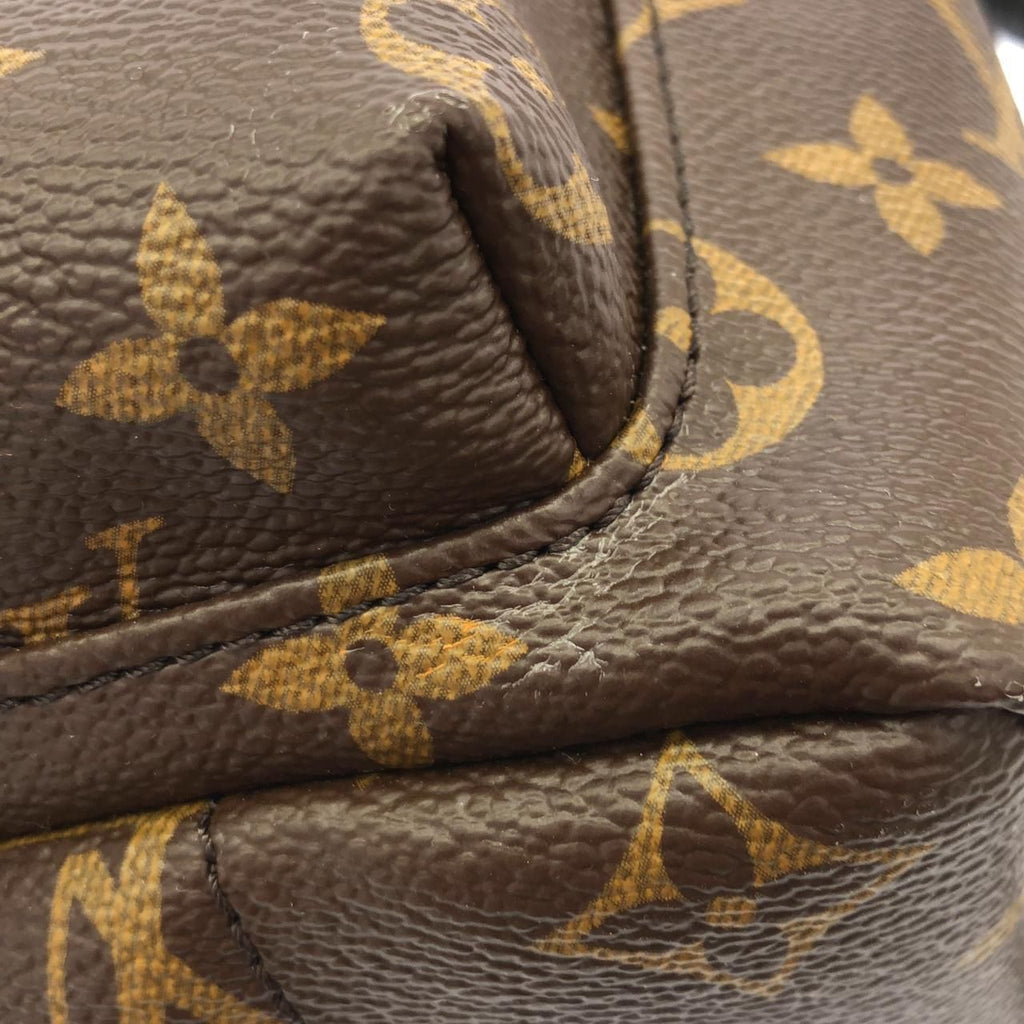 Louis Vuitton Monogram Palm Springs Backpack PM — view 4
