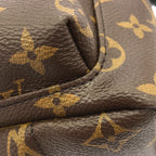 Louis Vuitton Monogram Palm Springs Backpack PM — view 4