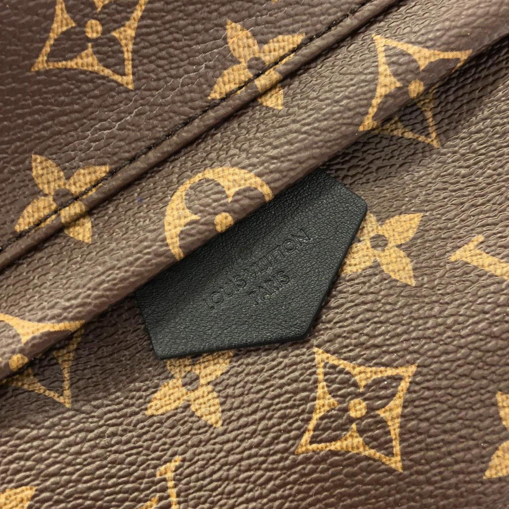 Louis Vuitton Monogram Palm Springs Backpack PM — view 5