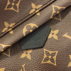 Louis Vuitton Monogram Palm Springs Backpack PM — view 5