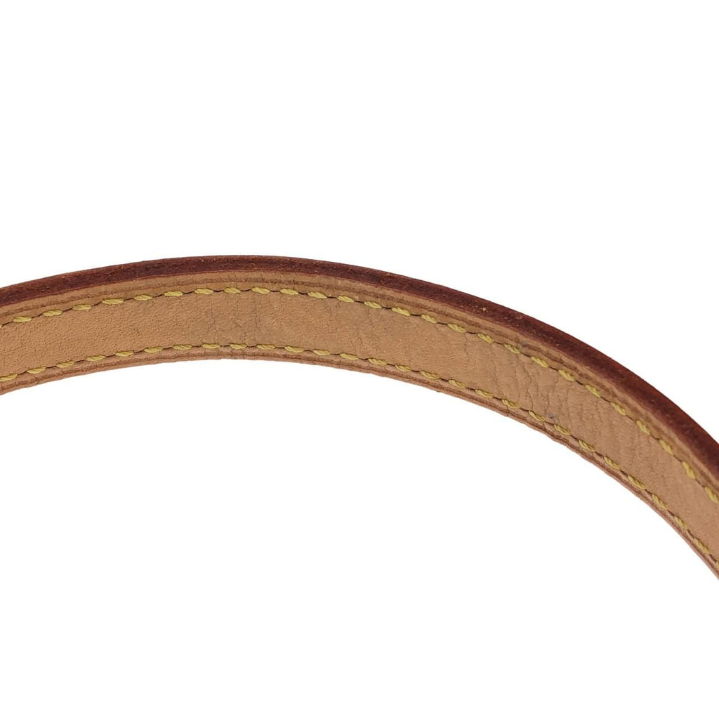 Louis Vuitton Monogram Blois Shoulder Bag — view 6