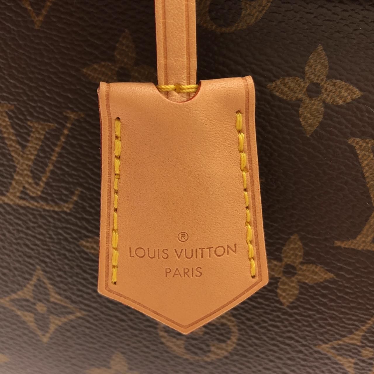 Louis Vuitton Monogram Cluny MM — view 5