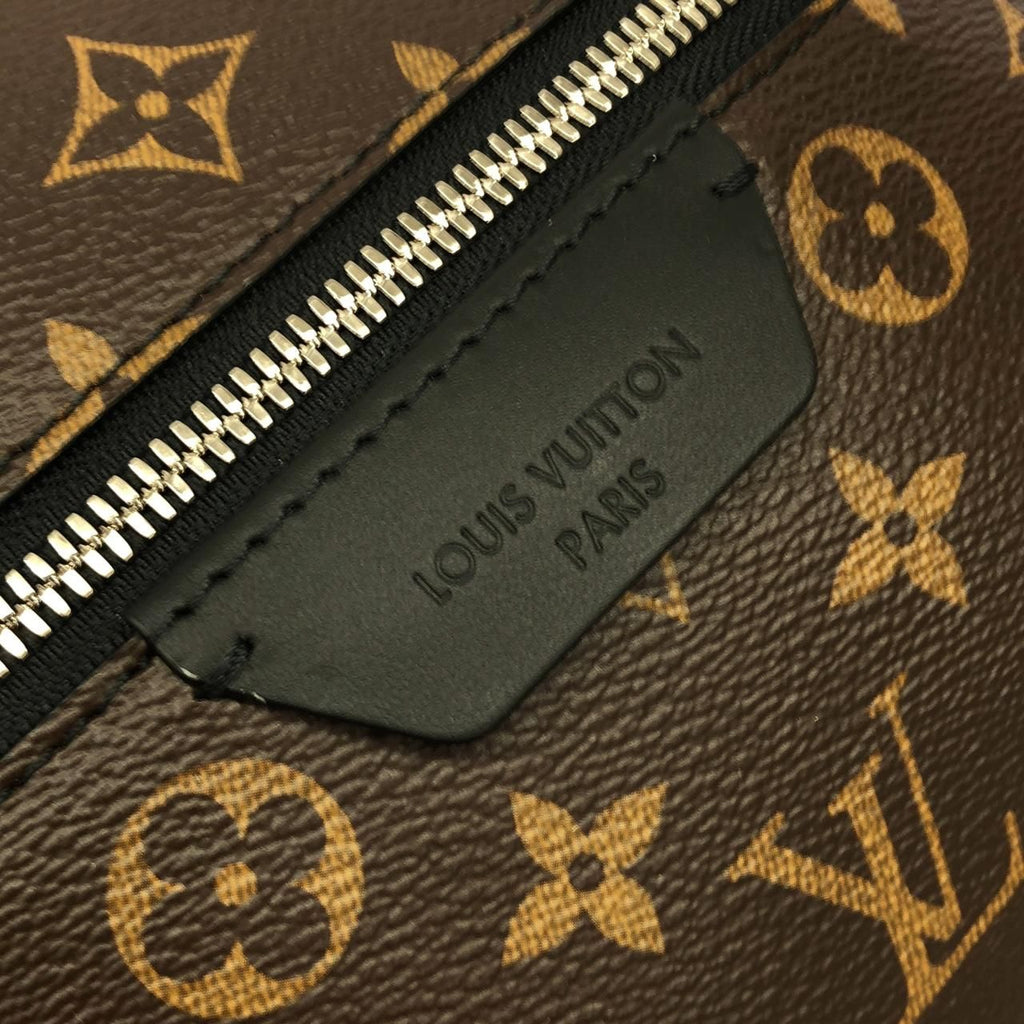 Louis Vuitton Monogram Macassar Discovery Backpack — view 6