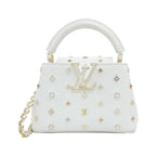 Louis Vuitton Multicolor Capucines Mini