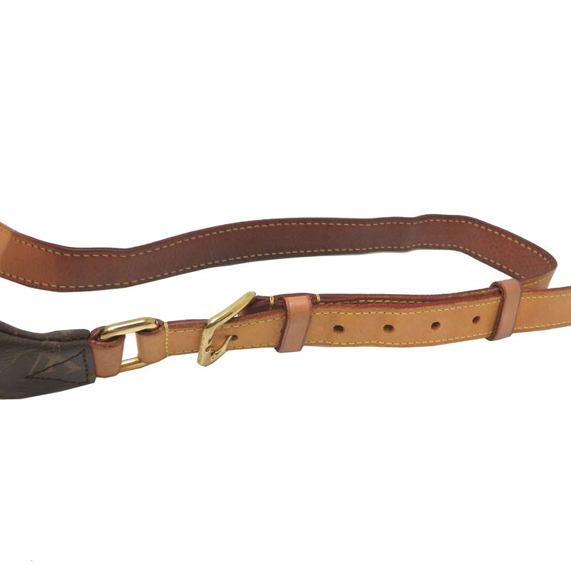 Louis Vuitton Waist Bag — view 5