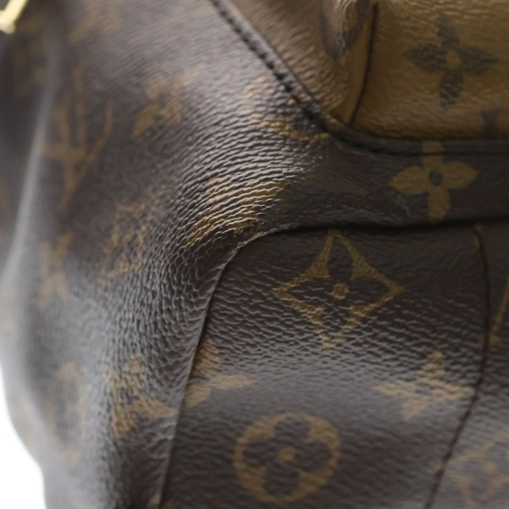 Louis Vuitton Monogram Reverse Palm Springs PM Backpack — view 5