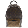 Louis Vuitton Monogram Reverse Palm Springs PM Backpack
