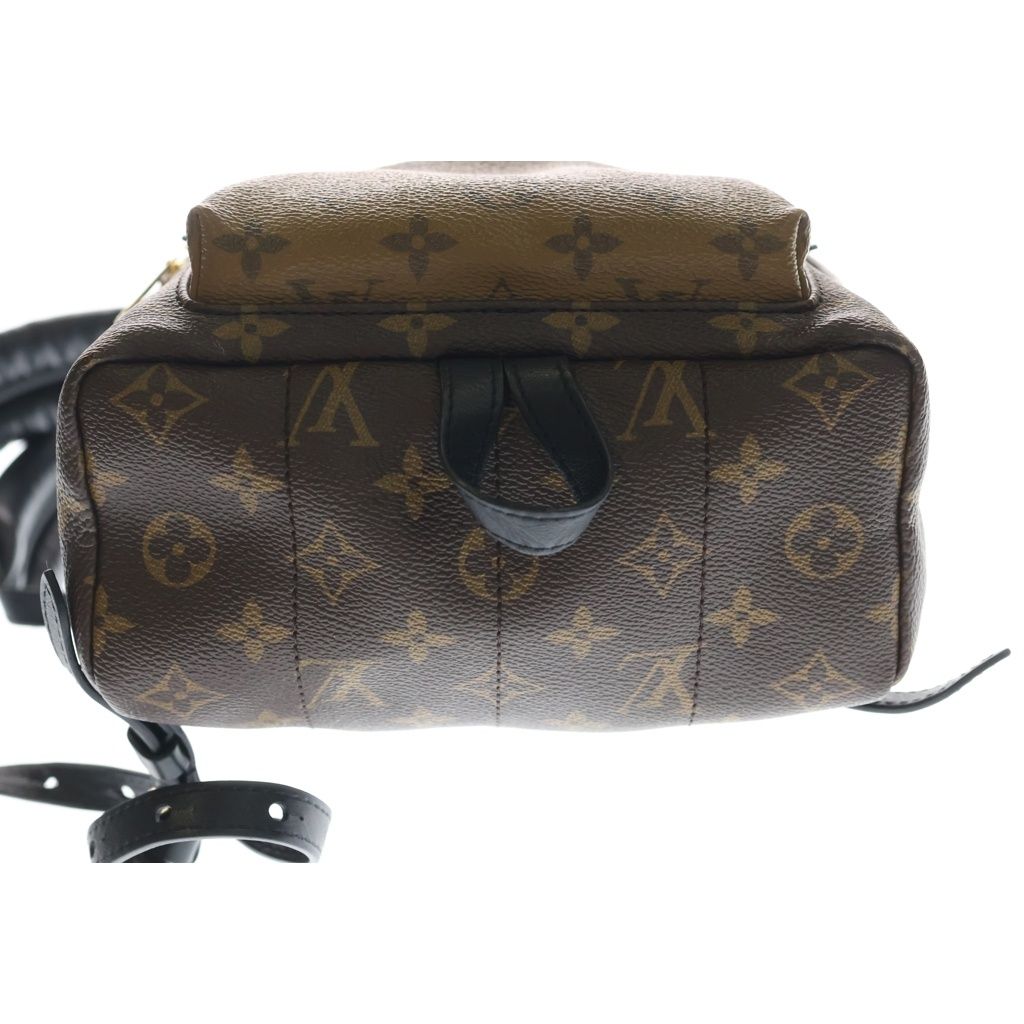 Louis Vuitton Monogram Reverse Palm Springs PM Backpack — view 4