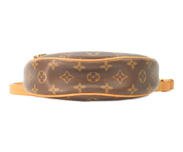 Louis Vuitton Monogram Loop Shoulder Bag — view 5