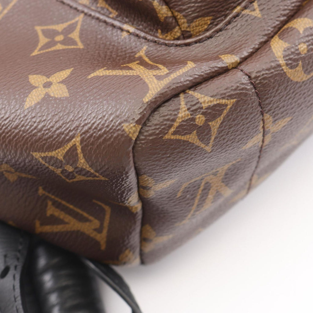 Louis Vuitton Backpack Palm Spring MM Canvas Leather — view 5