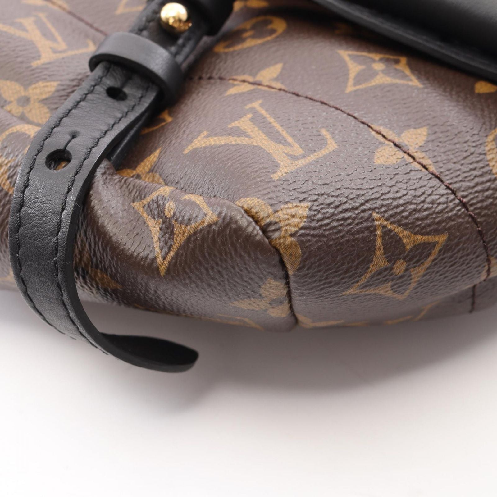 Louis Vuitton Backpack Palm Spring MM Canvas Leather — view 8