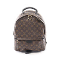 Louis Vuitton Backpack Palm Spring MM Canvas Leather