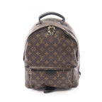 Louis Vuitton Backpack Palm Spring MM Canvas Leather