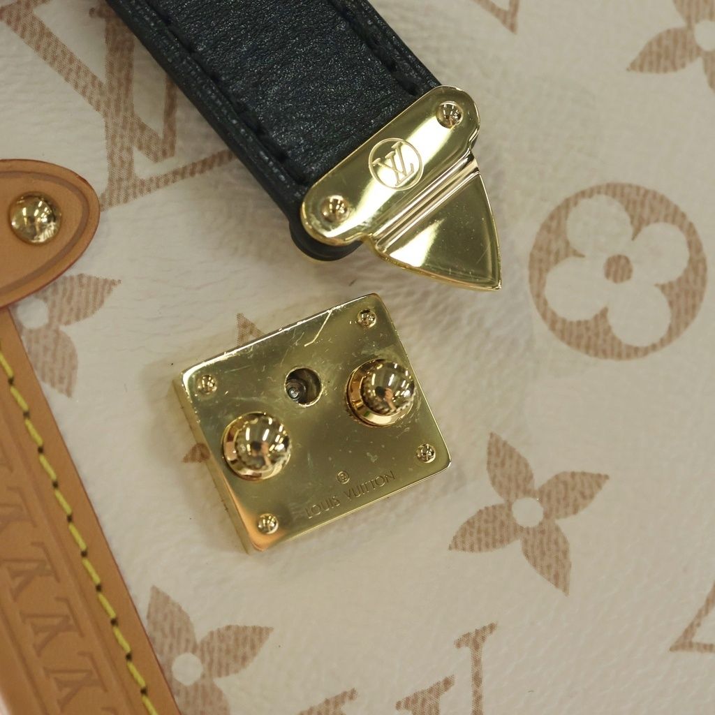 Louis Vuitton Monogram Dunne Side Trunk MM Leather 2-Way Shoulder Bag White — view 6