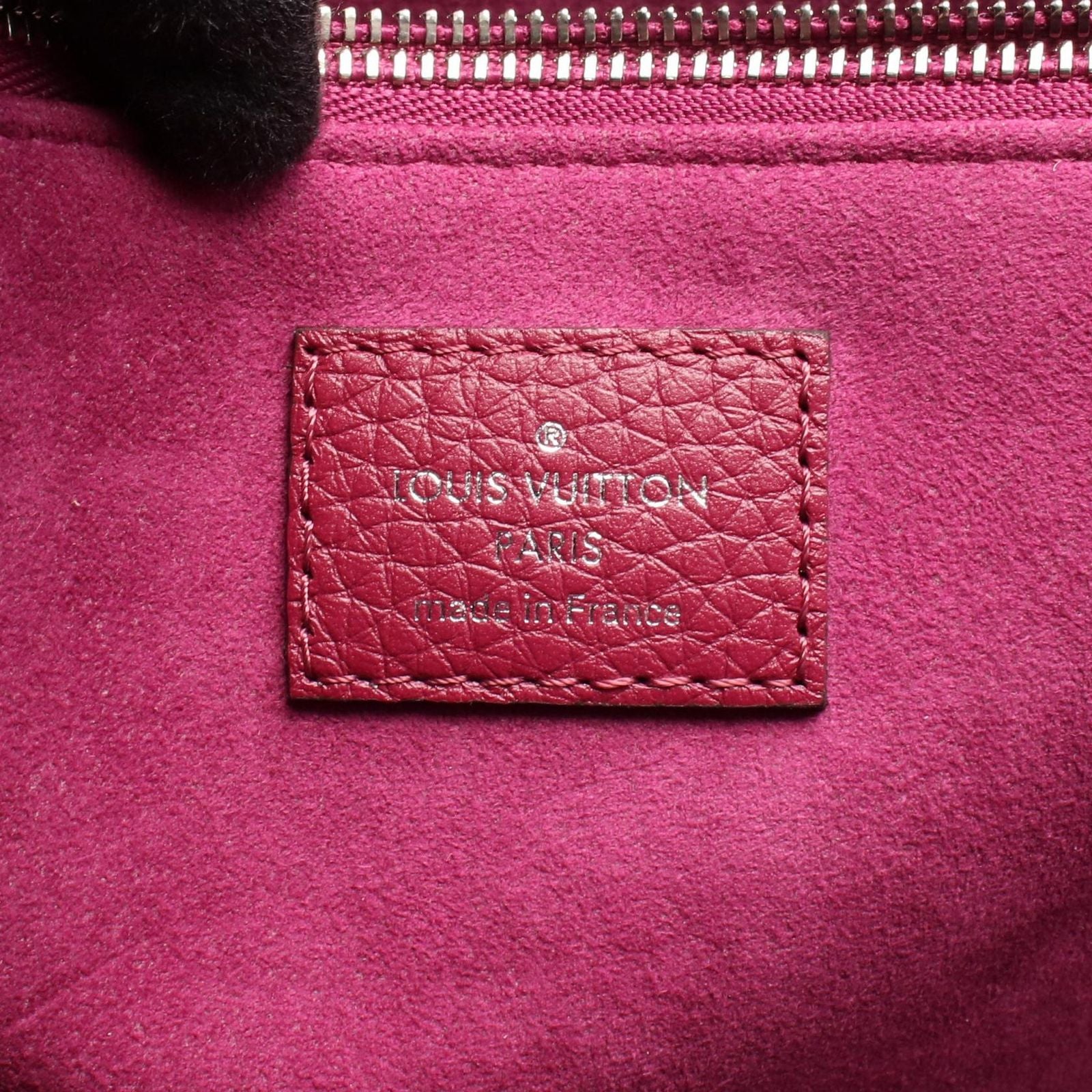 Louis Vuitton Volta Parnascea 2-Way Purple Handbag — view 4