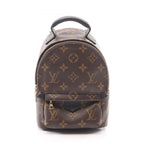 Louis Vuitton Backpack Palm Spring Mini Canvas Leather