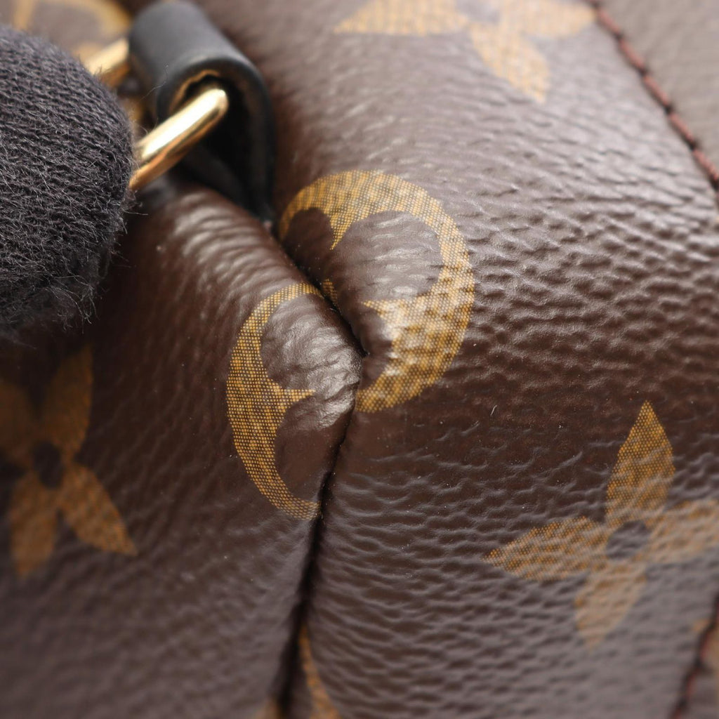 Louis Vuitton Backpack Palm Spring Mini Monogram Canvas Leather — view 6