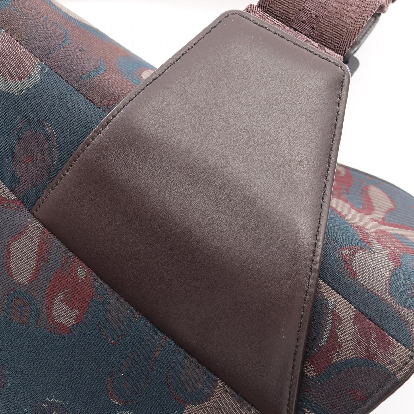 Dior Waist Bag Peter Doig Brown Navy Red Canvas Leather — view 7
