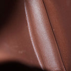 Louis Vuitton Monogram Amazon Mini Shoulder Bag Brown Leather Gold — view 8
