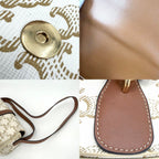 Celine For Shoulder Bag Taboo Triomphe Bag Canvas Leather White Brown Gold — view 6