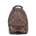 Louis Vuitton Backpack Monogram Palm Spring Mini Bag Black