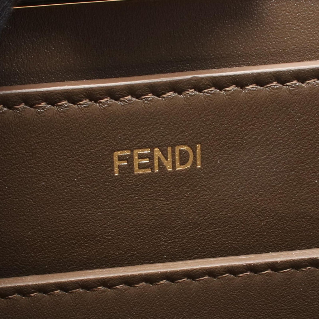Fendi Peekaboo ISeeU 2-Way Brown Dark Canvas Patent Zucca Regular Handbag — view 4