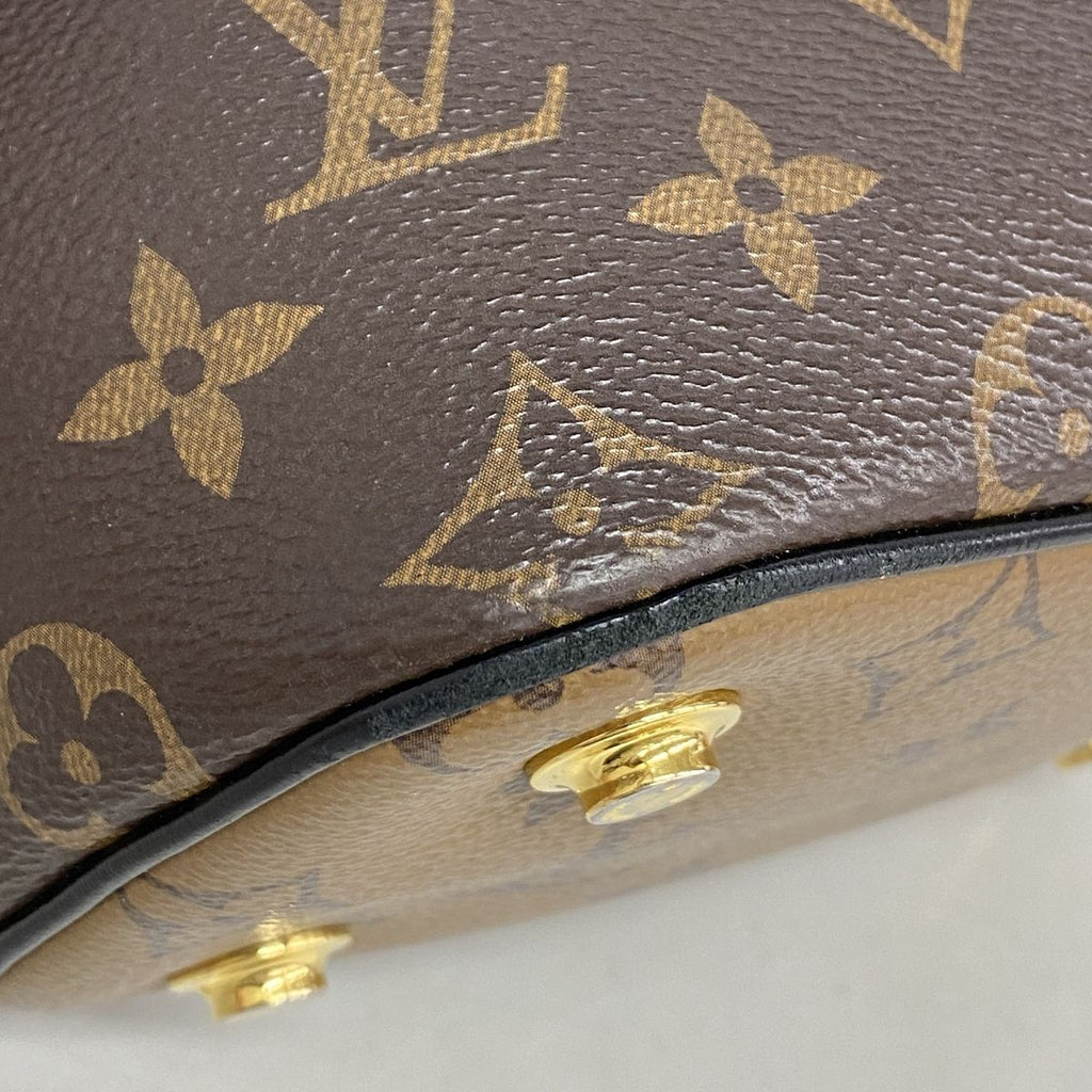 Louis Vuitton Vanity Bag Monogram Reverse Nvpm Brown 2-Way Bag — view 6