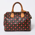 Louis Vuitton Takashi Murakami Monogram Cherry Speedy 25 Handbag