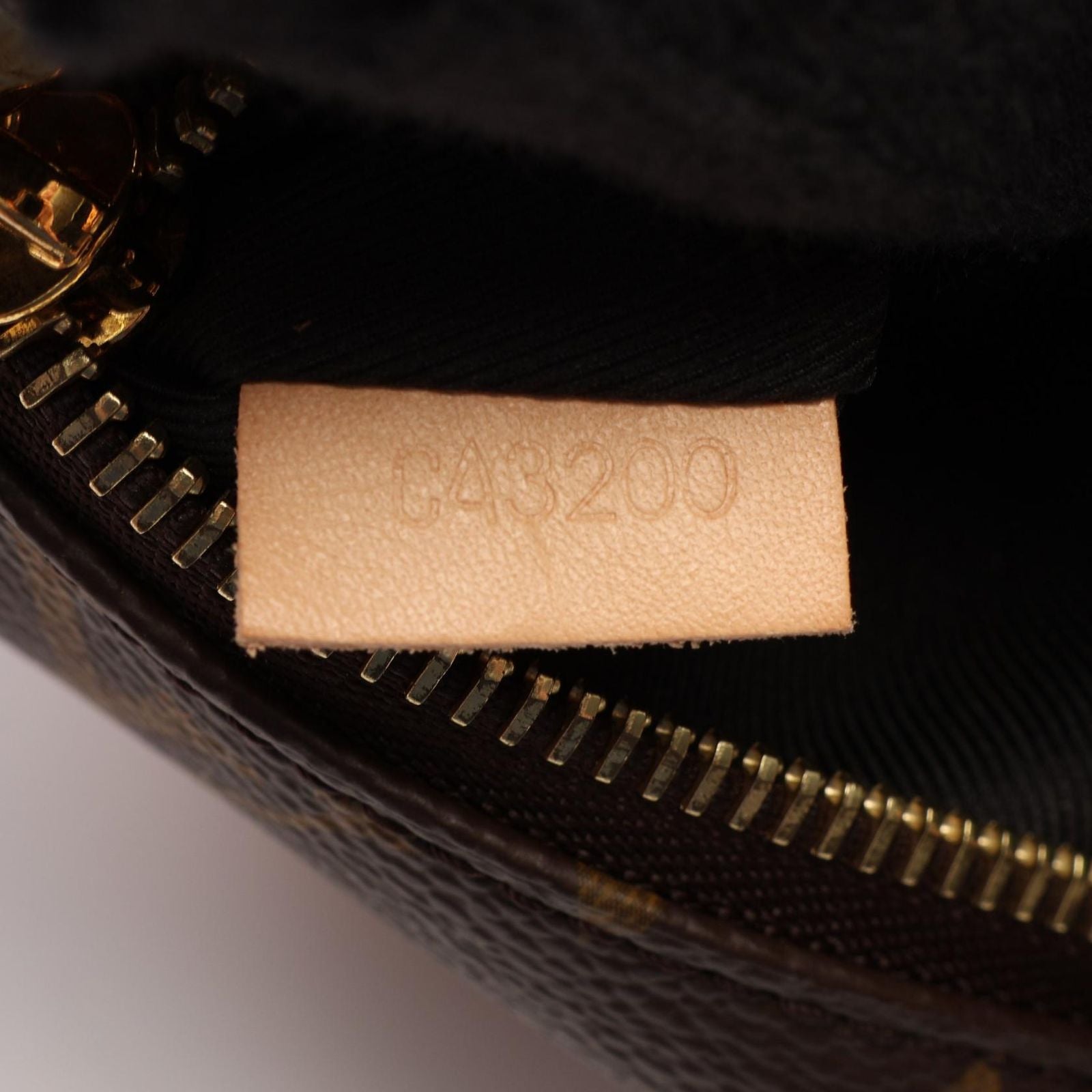 Louis Vuitton Waist Bag Monogram Canvas Leather — view 5
