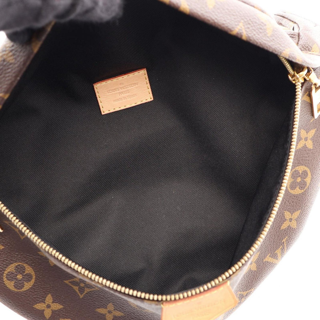 Louis Vuitton Waist Bag Monogram Canvas Leather — view 3