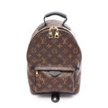 Louis Vuitton Backpack Palm Spring PM Canvas Leather