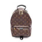 Louis Vuitton Backpack Palm Spring PM Canvas Leather