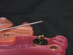 Gucci Brooch Line Pig Pink Resin Chinese New Year Pig of the Pig Commemorative — view 3