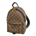 Louis Vuitton Backpack Monogram Palm Spring PM Brown