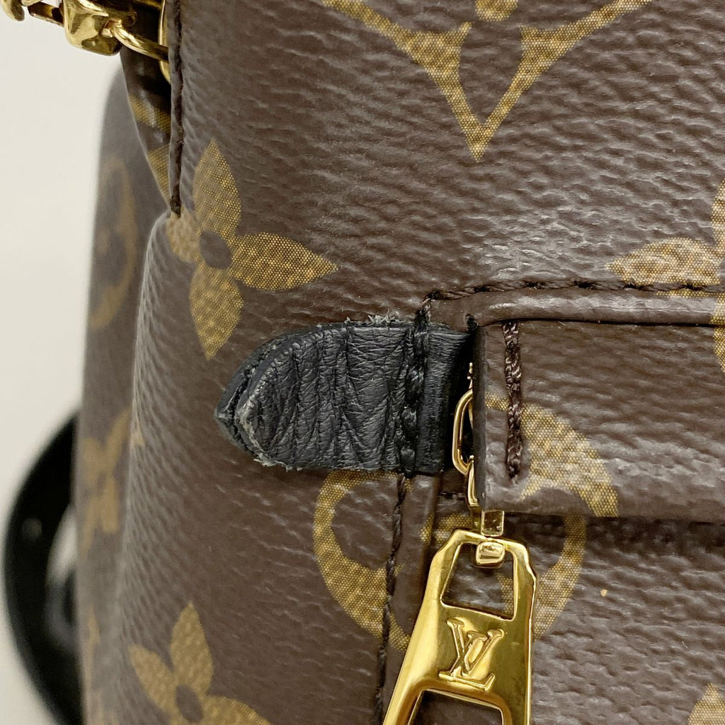 Louis Vuitton Backpack Monogram Palm Spring PM Brown — view 6