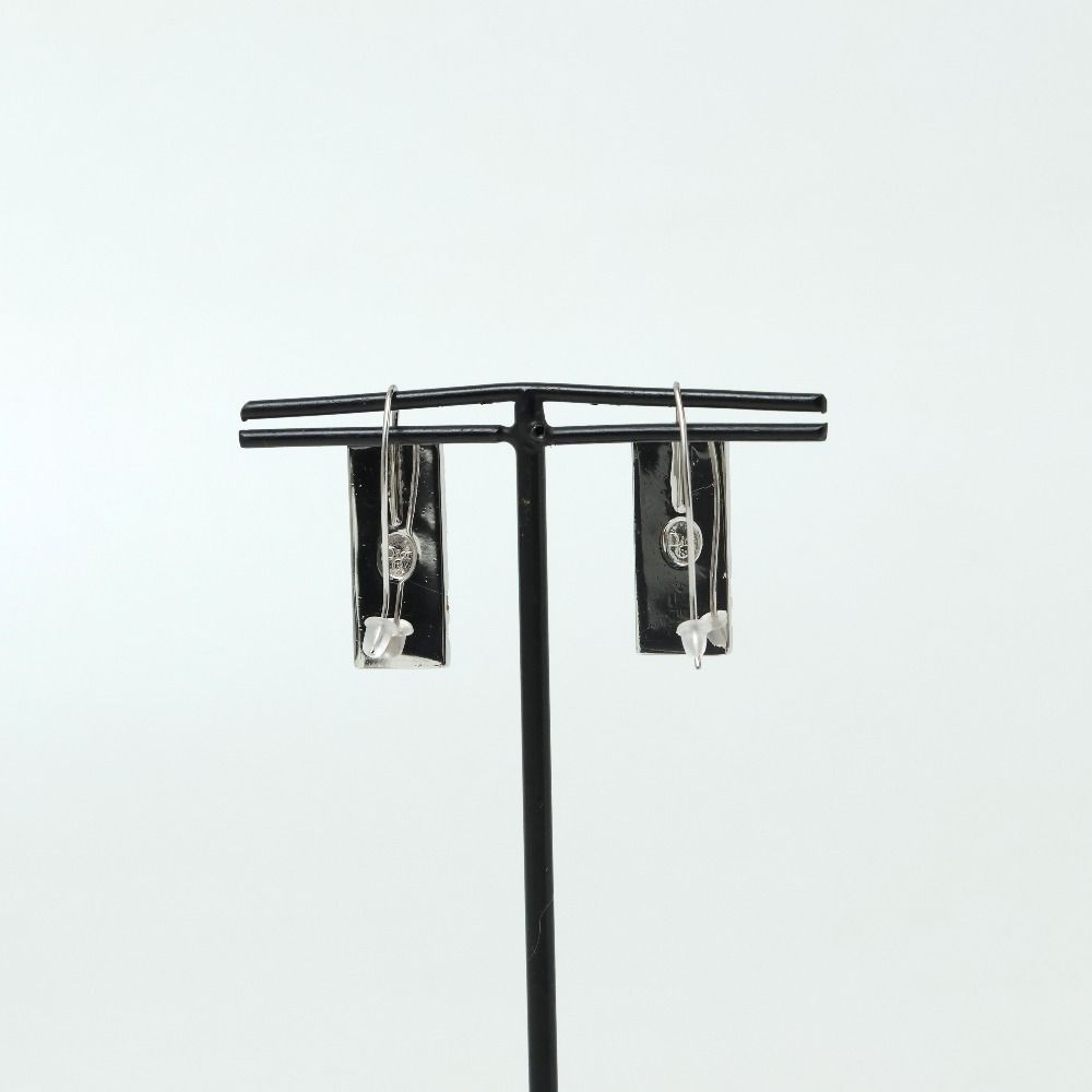 Dior Earrings Trotter Plate 2 Numbering — view 2