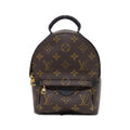 Louis Vuitton Monogram Palm Spring Backpack Mini