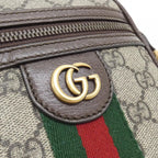 Gucci Ophidia Shoulder Bag — view 4