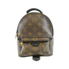 Louis Vuitton Monogram Palm Spring Backpack Mini