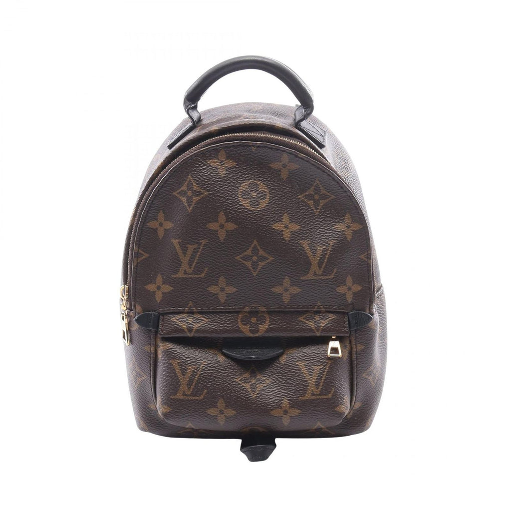 Louis Vuitton Backpack Palm Springs Mini Monogram Leather