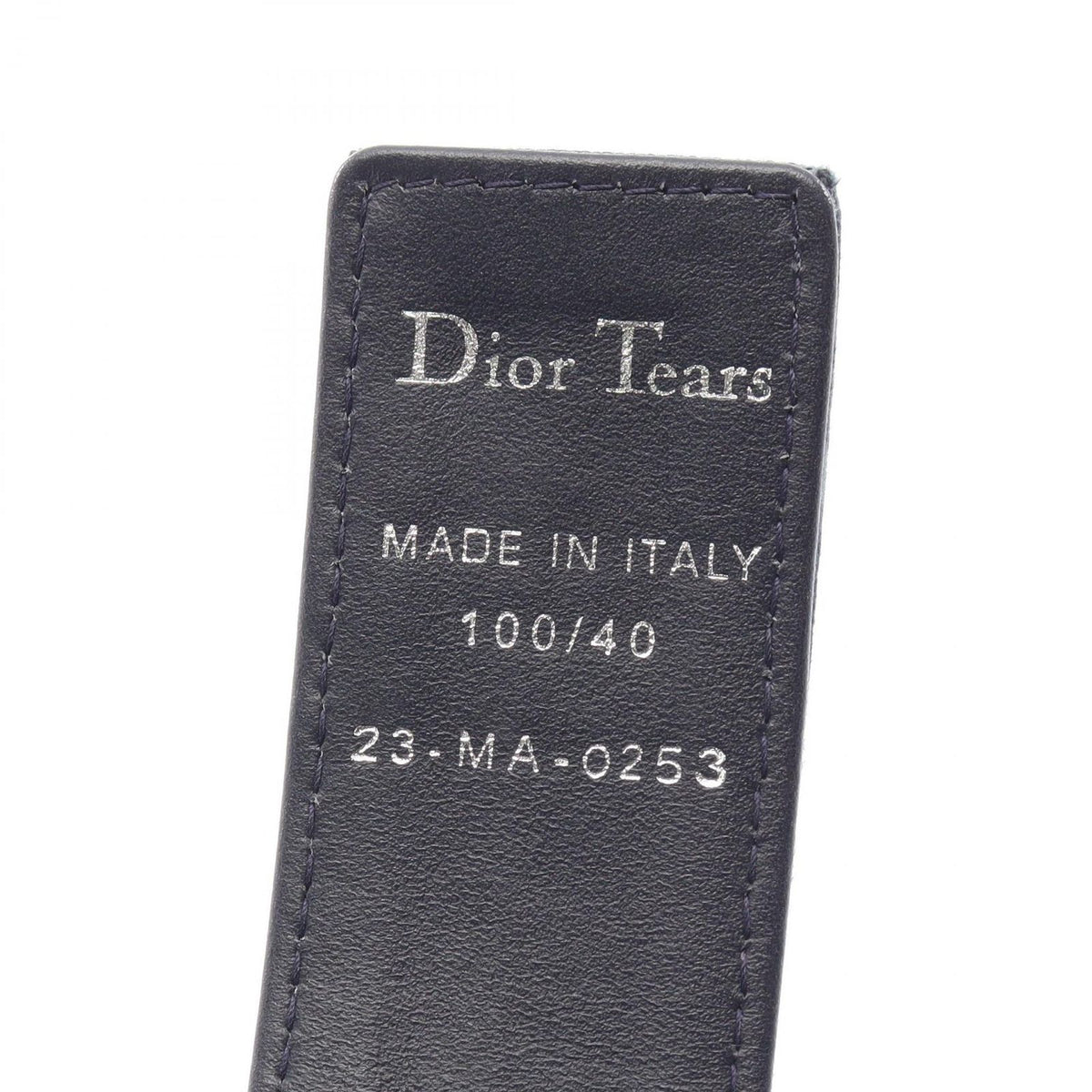 Dior Belt Denim Tears Silver Reversible Canvas — view 4