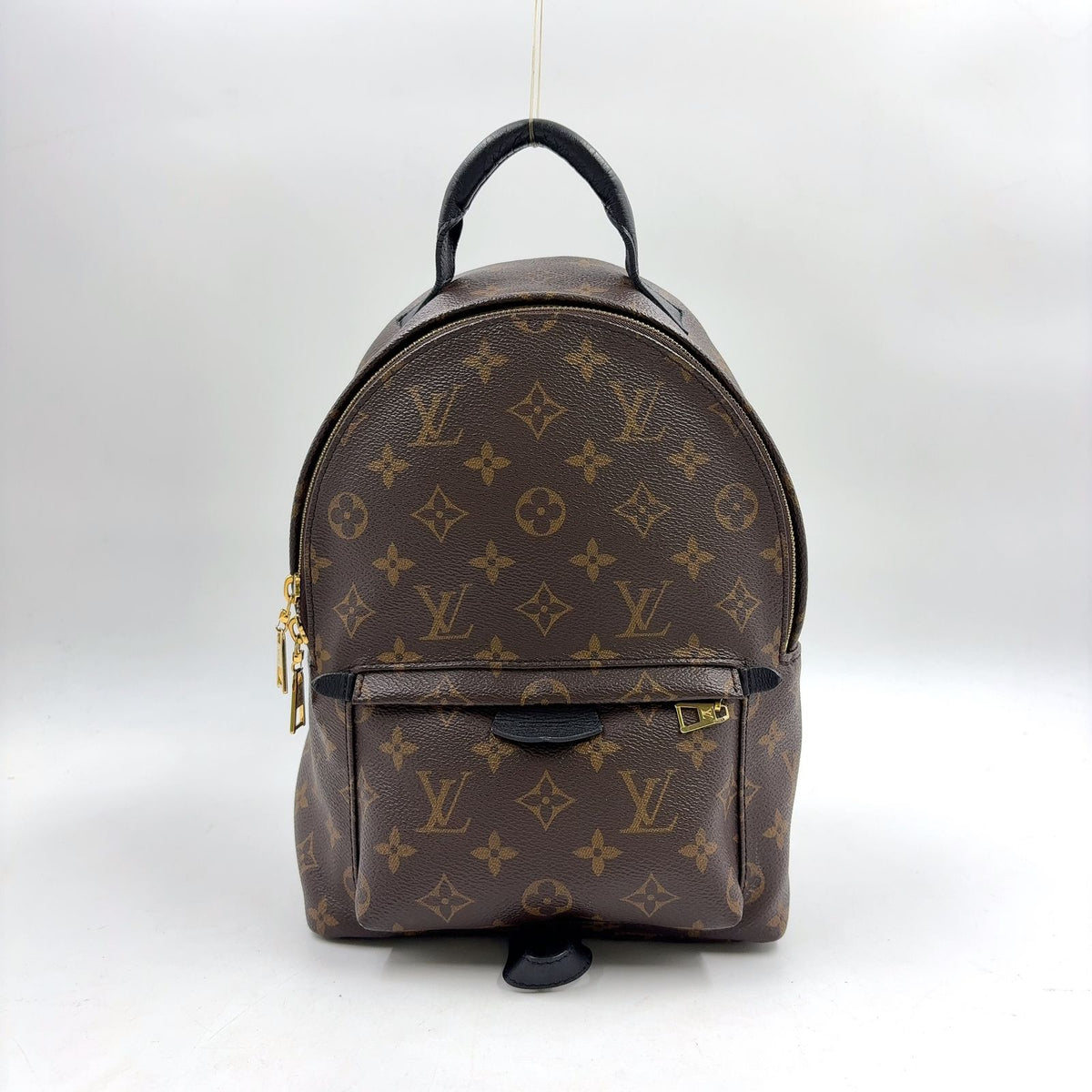 Louis Vuitton Palm Springs PM Monogram Leather