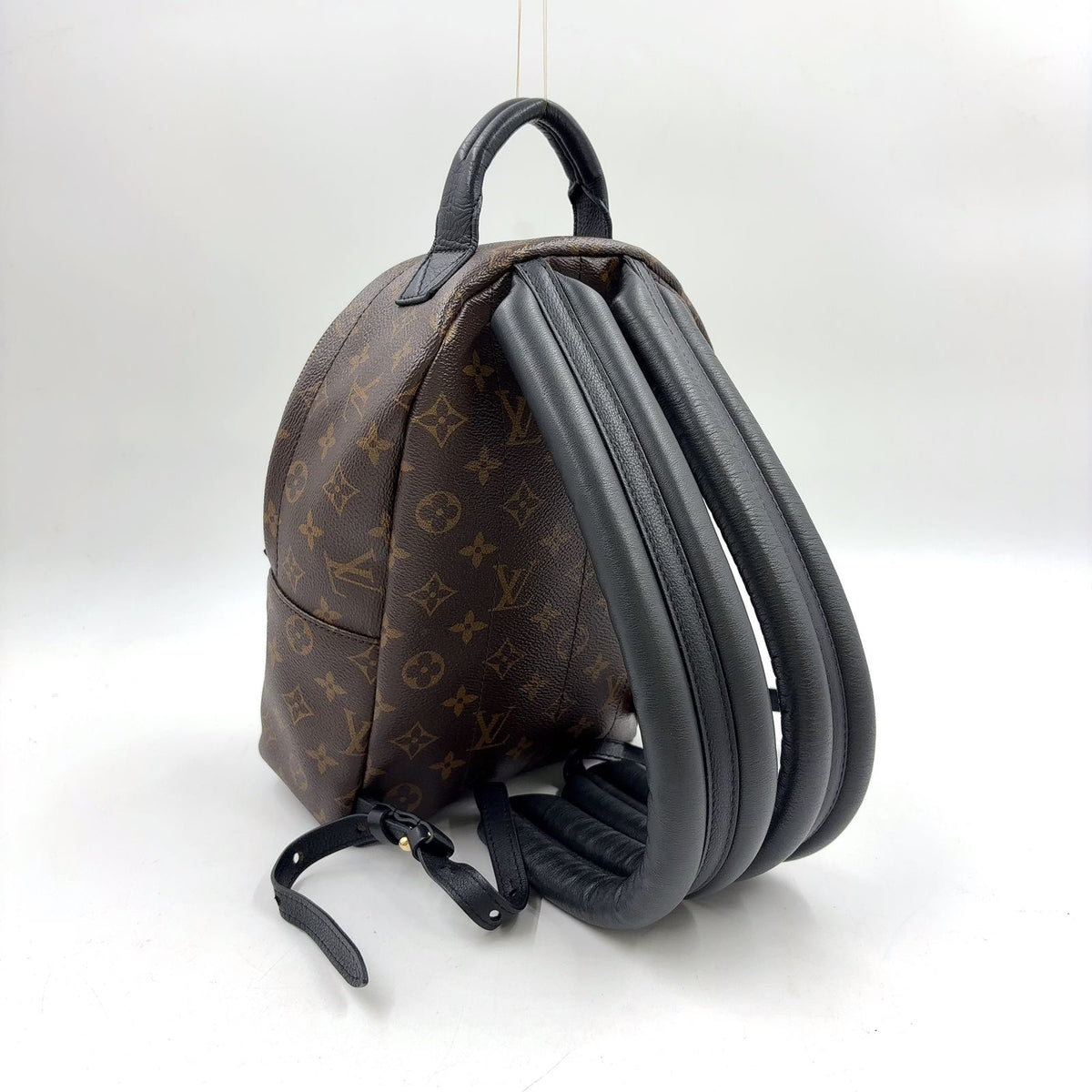 Louis Vuitton Palm Springs PM Monogram Leather — view 2