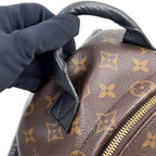 Louis Vuitton Palm Springs PM Monogram Leather — view 5