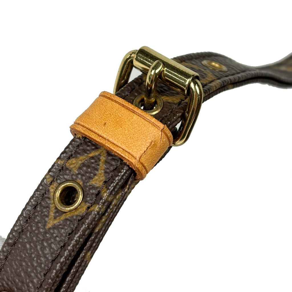 Louis Vuitton Amazon Shoulder Bag Monogram Brown — view 5