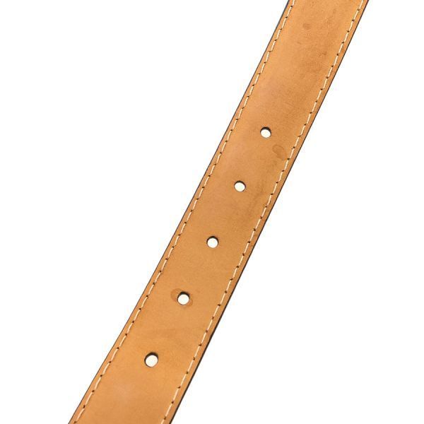 Louis Vuitton Ceinture Pochette Pouch — view 5