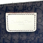 Dior Saddle Leather White Belt Bag Silver — view 4