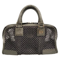 Loewe Handbag Amazona Silver Chain Mesh
